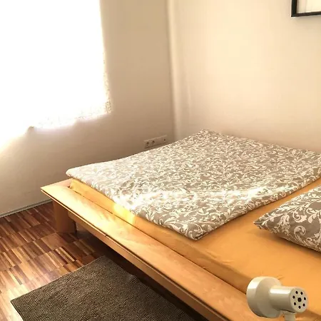 Zittera - Adults Only Daire