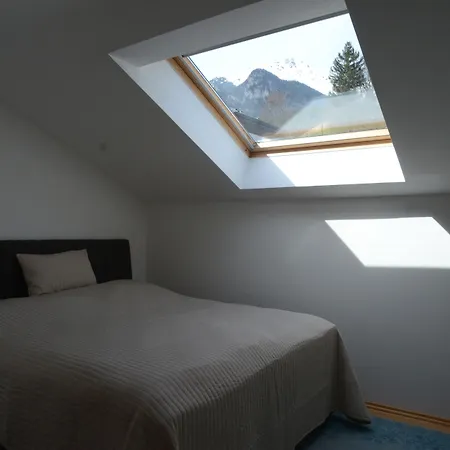 Zittera - Adults Only Daire