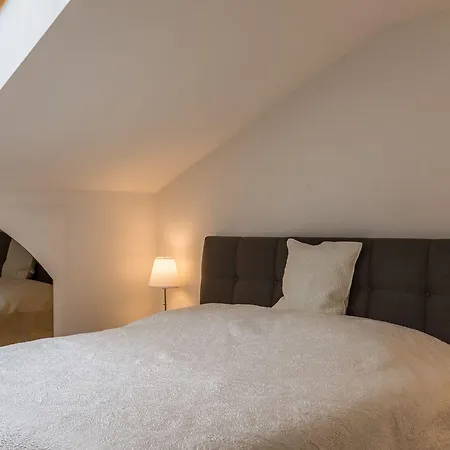 Zittera - Adults Only Daire *