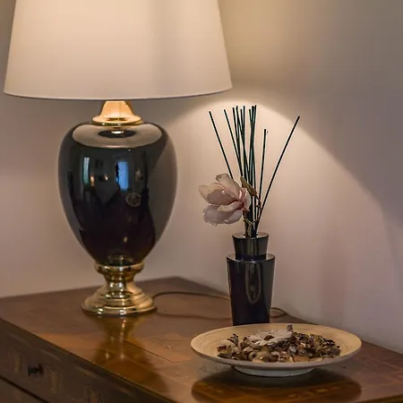 Zittera - Adults Only