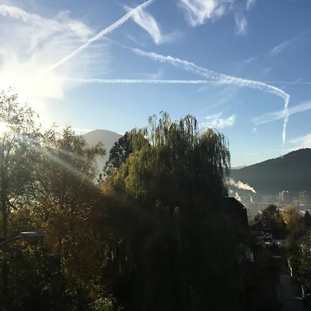 Zittera - Adults Only *