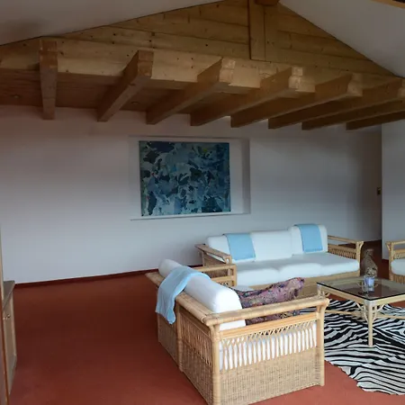 Zittera - Adults Only *