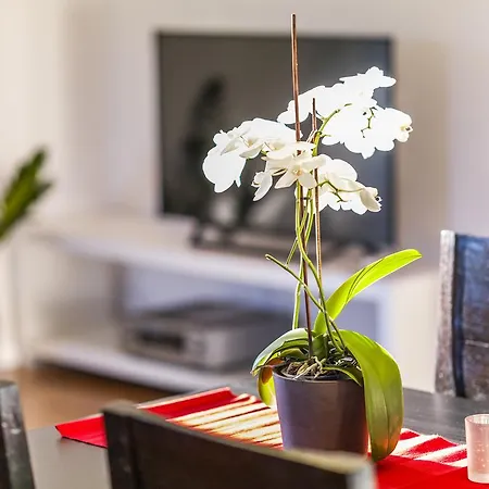 Διαμέρισμα Zittera - Adults Only