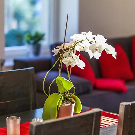 Apartment Zittera - Adults Only Innsbruck