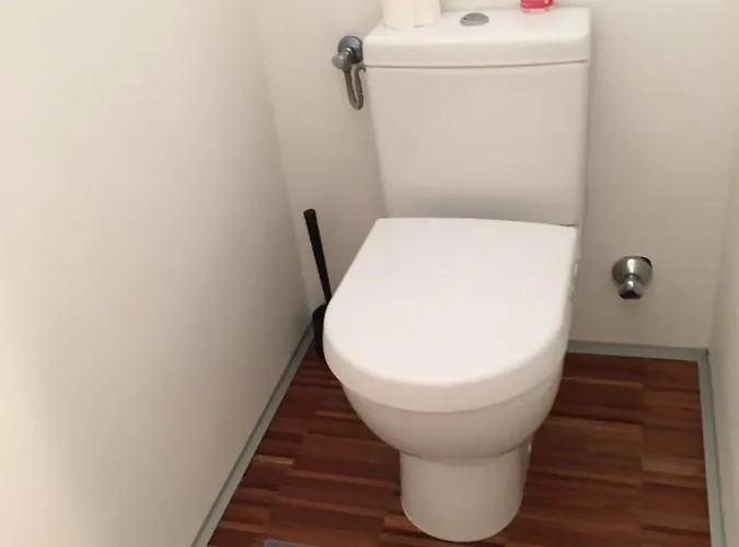 Zittera - Adults Only