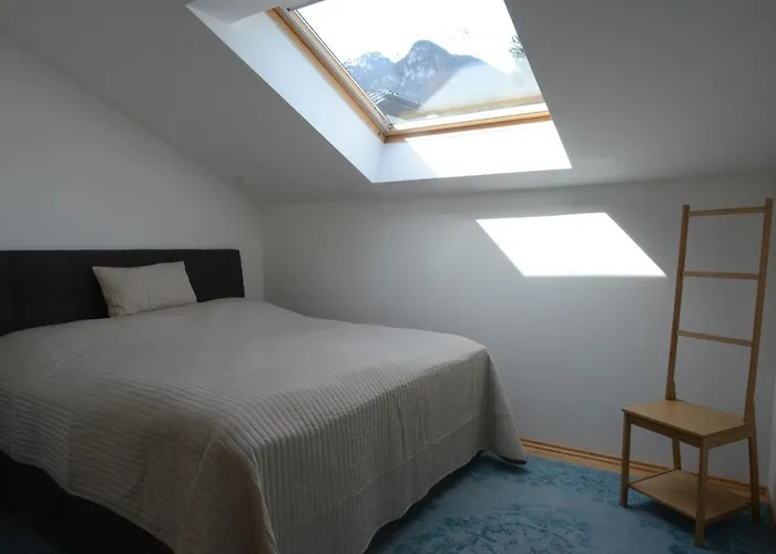 Zittera - Adults Only