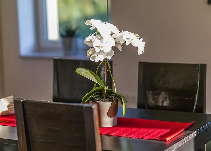 Appartement Zittera - Adults Only *