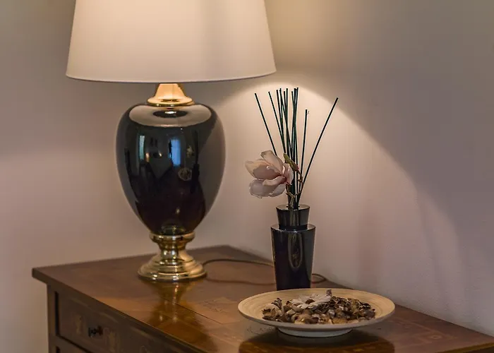 Zittera - Adults Only