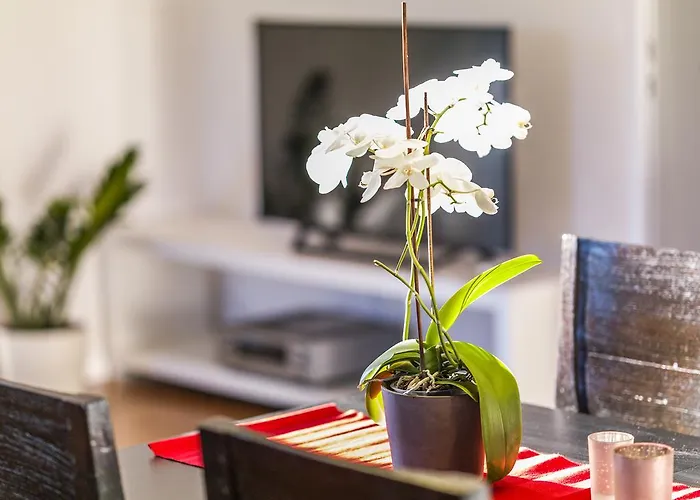 Appartement Zittera - Adults Only